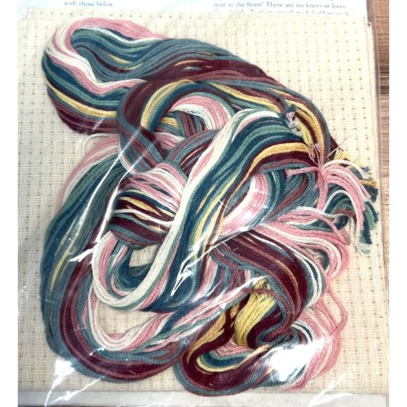 Friendship Warms The Heart Counted Cross-Stitch Kit  6-Count Fabric  8" X 8" Des - Picture 4 of 4